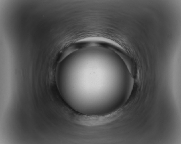 X0000086770037200704201813