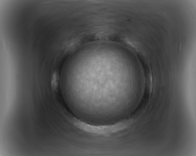 X0000086770038200704201813