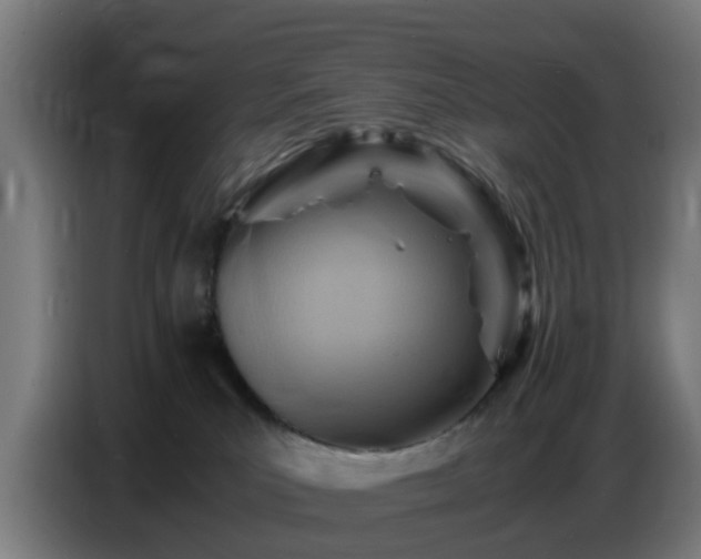 X0000086770039200704201813