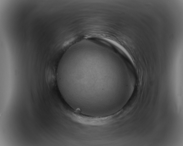 X0000086770040200704201813