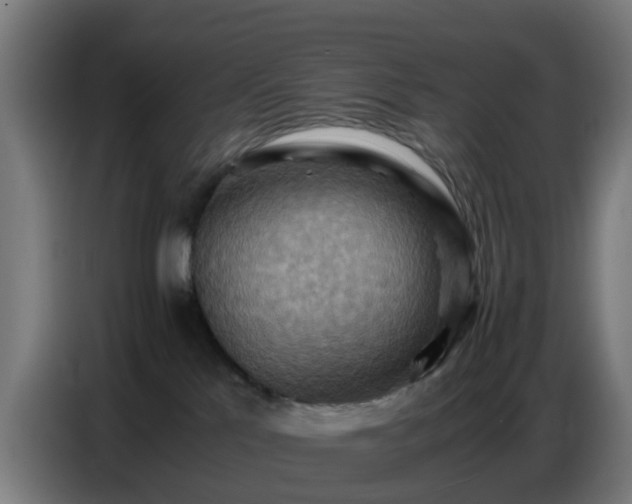 X0000086770041200704201813