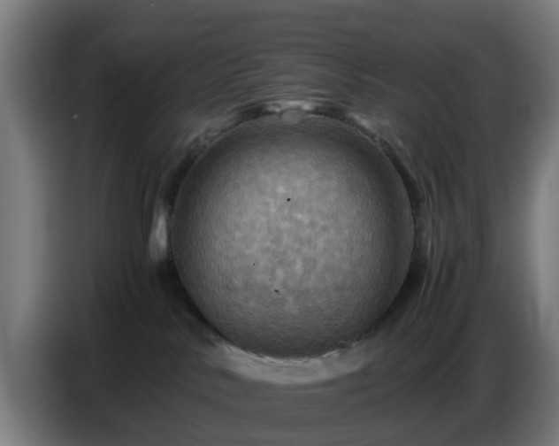 X0000086770042200704201813