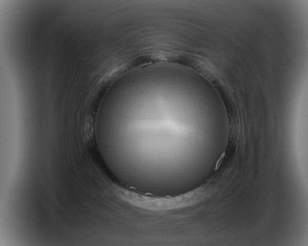 X0000086770043200704201813
