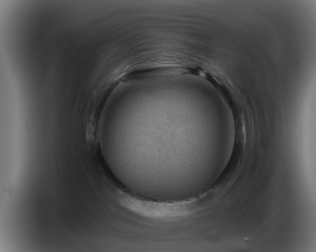 X0000086770044200704201813