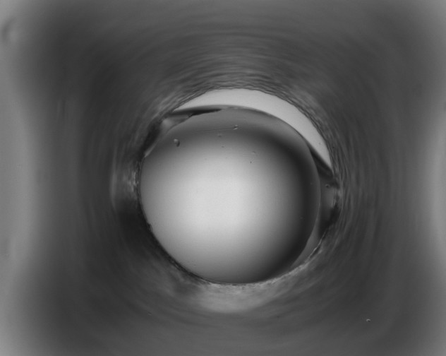 X0000086770045200704201813