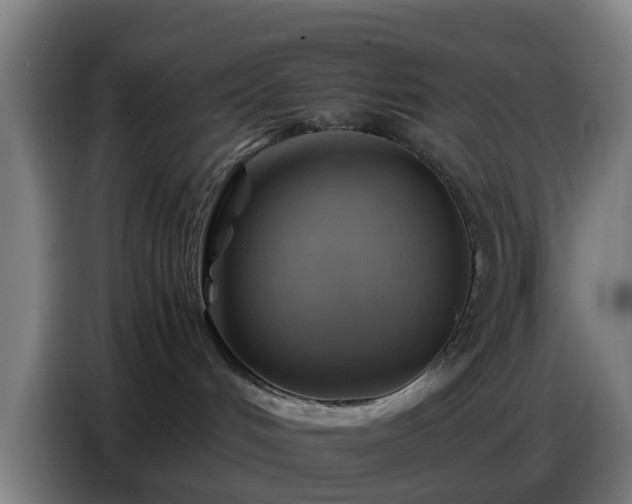 X0000086770048200704201813