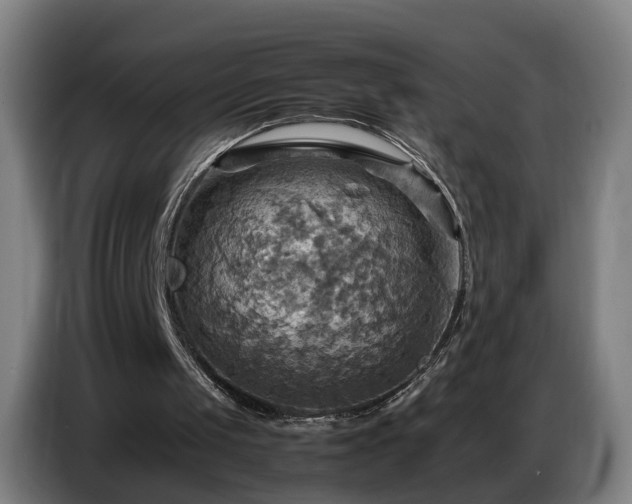 X0000086770049200704201812