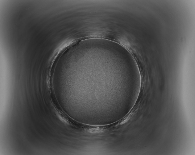 X0000086770050200704201812