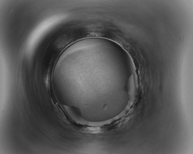X0000086770052200704201812