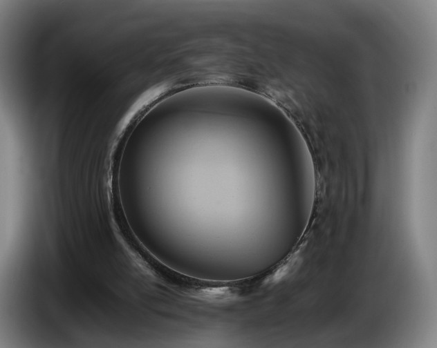 X0000086770054200704201812