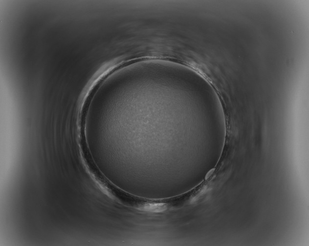 X0000086770055200704201812