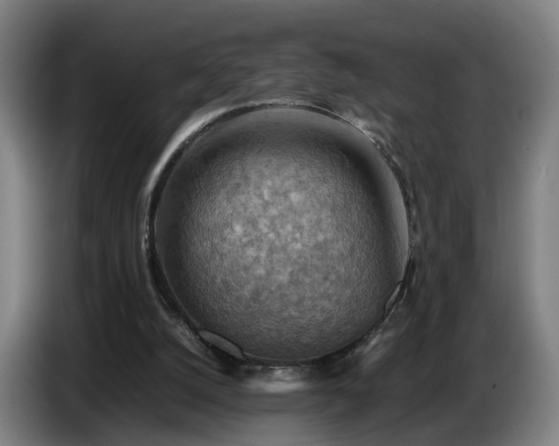 X0000086770056200704201812