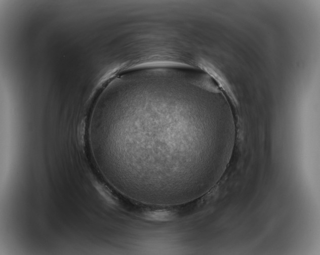 X0000086770058200704201812