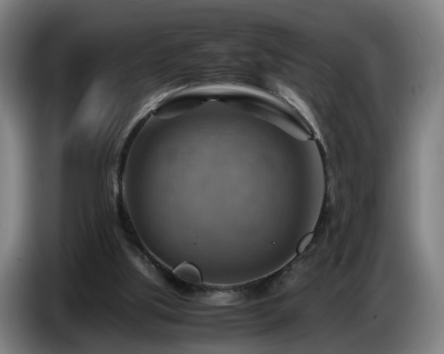 X0000086770059200704201812