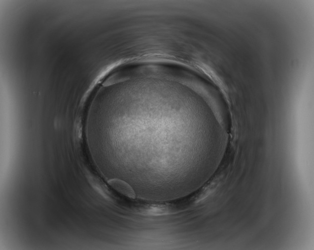 X0000086770060200704201812