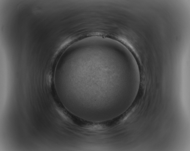 X0000086770063200704201813