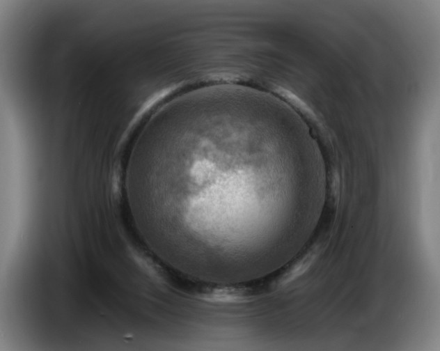 X0000086770064200704201813
