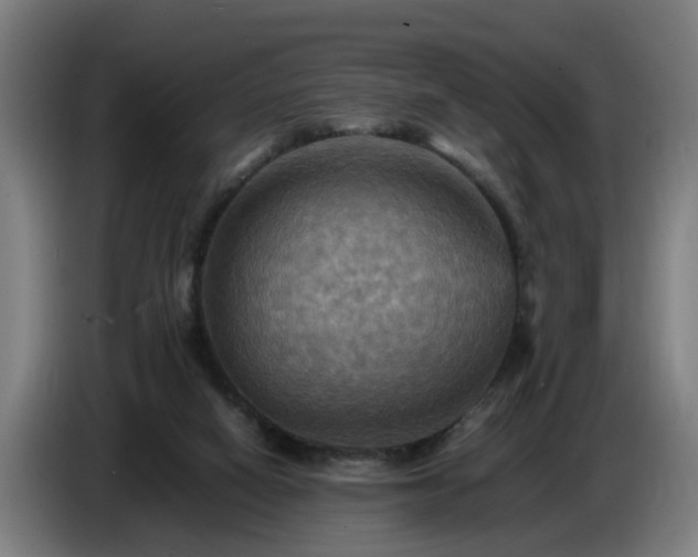 X0000086770066200704201813