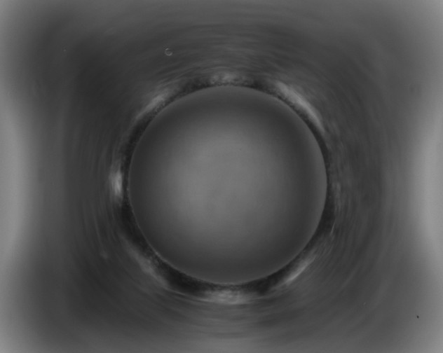 X0000086770067200704201813