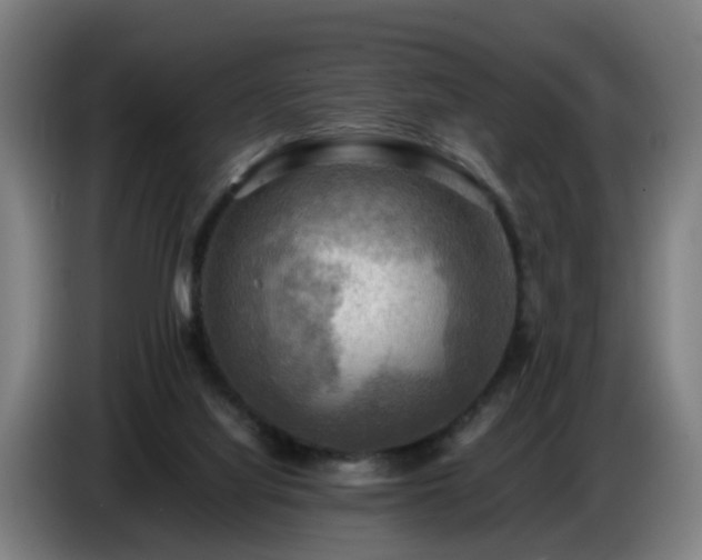 X0000086770068200704201813