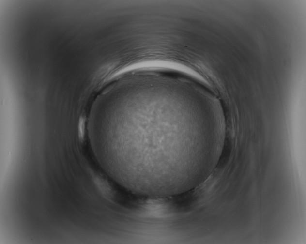X0000086770070200704201813