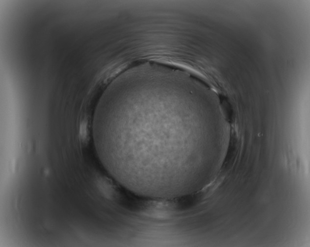 X0000086770074200704201813