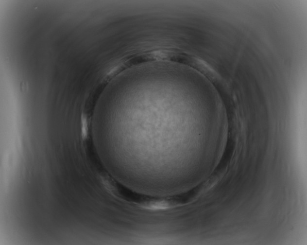 X0000086770075200704201813