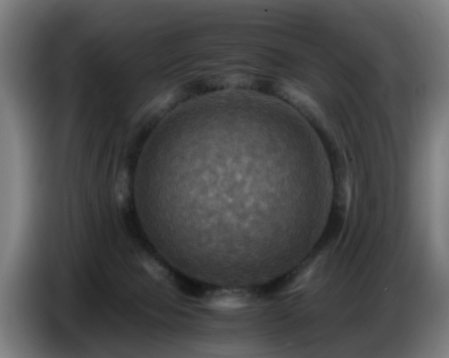 X0000086770077200704201813
