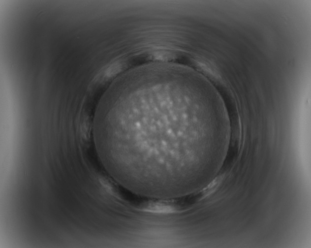 X0000086770078200704201813