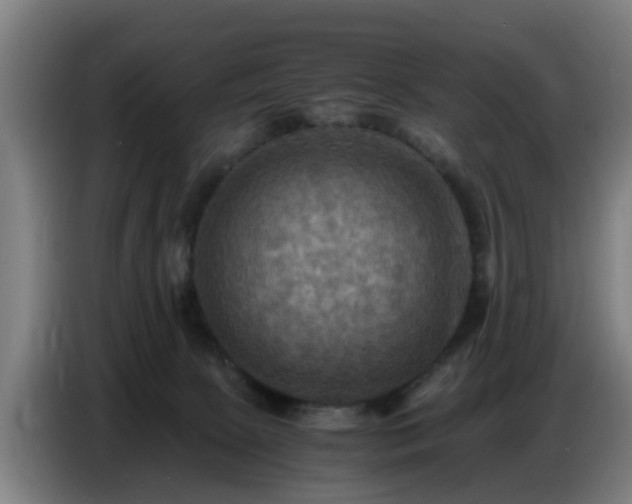 X0000086770081200704201813