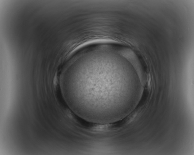 X0000086770084200704201813