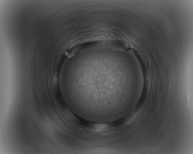X0000086770085200704201813