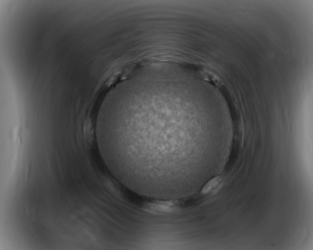 X0000086770086200704201813