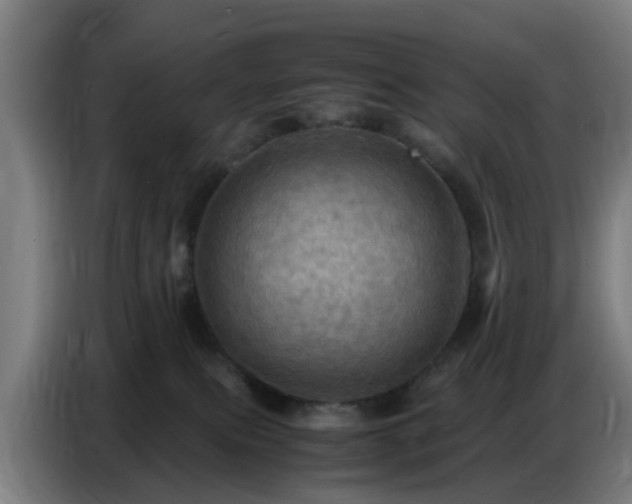 X0000086770087200704201813