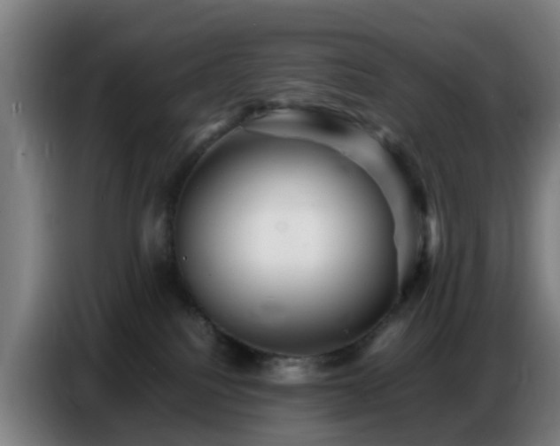 X0000086770088200704201813