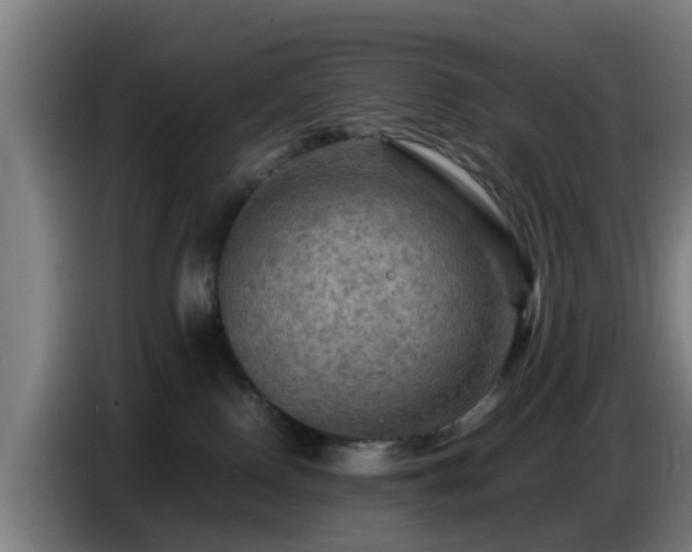 X0000086770090200704201813