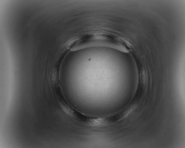 X0000086770092200704201813