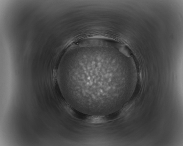X0000086770093200704201813