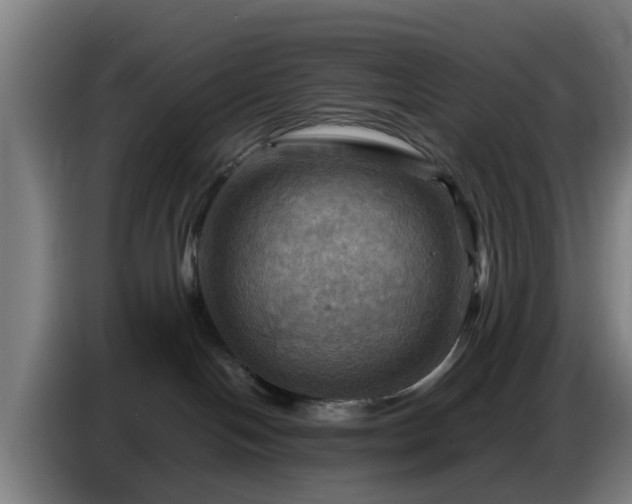 X0000086770094200704201813