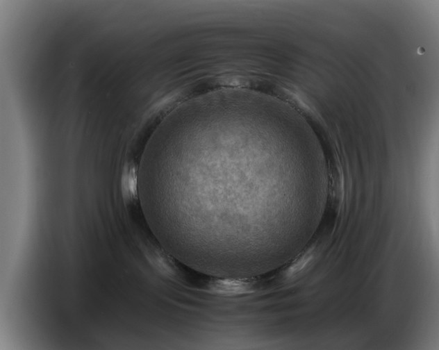 X0000086770095200704201813