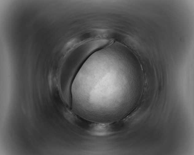 X0000086770096200704201813