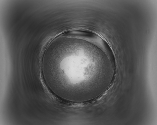 X0000086770097200704201812