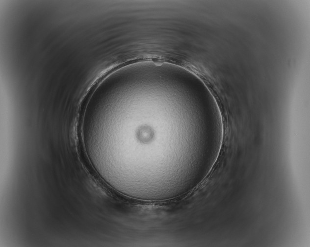 X0000086770098200704201812
