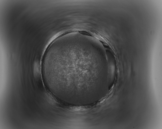 X0000086770100200704201812