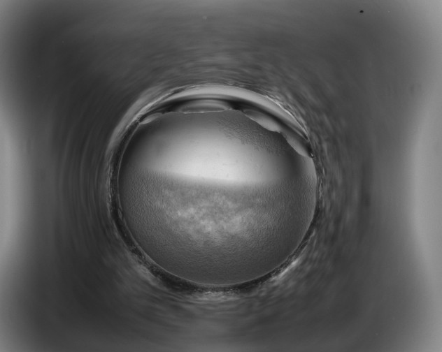X0000086770101200704201812