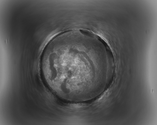 X0000086770103200704201812