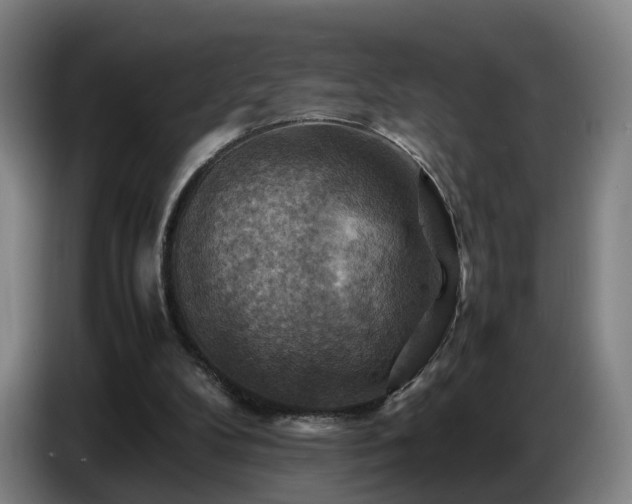 X0000086770104200704201812