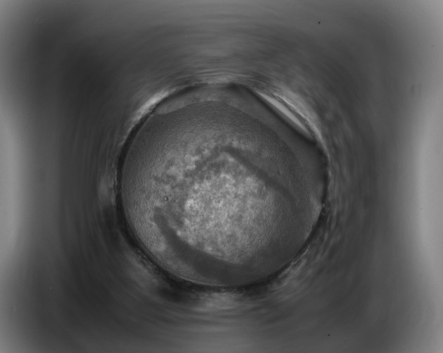 X0000086770107200704201812