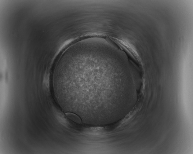 X0000086770108200704201812