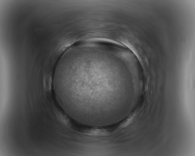 X0000086770109200704201812